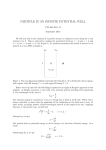 PARTICLE IN AN INFINITE POTENTIAL WELL