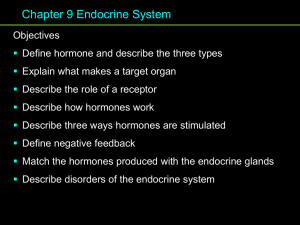 Chapter 9 Endocrine System