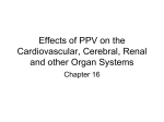 Effects of PPV on the Cardiovascular, Cerebral, Renal and other