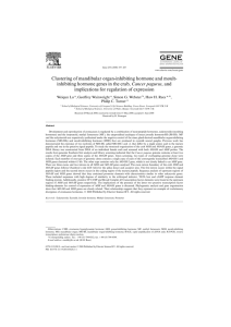 Clustering of mandibular organ-inhibiting hormone and moult