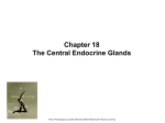 18.Central Endocrine Glands