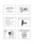 Psychoacoustic and physiological reflections of hearing loss: C315/A6