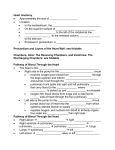 Heart Anatomy Notes for students