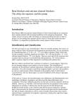 Beta blockers and calcium channel blockers