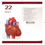 22. Heart