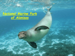 National Marine Park of Allonisos