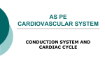 Cardiovascular System 1 - Conduction System and Cardiac Cycle