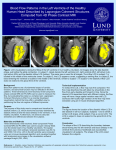 Blood Flow Patterns in the Left Ventricle of the Healthy Human Heart