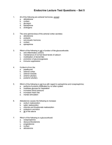 Endocrine Lecture Test Questions – Set 5