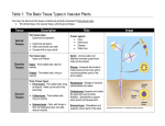 Table 1: The Basic Tissue Types in Vascular Plants