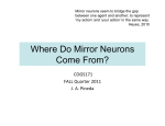 Lecture 4: Where do Mirror Neurons come from?