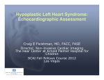 Hypoplastic Left Heart Syndrome: Echocardiographic Assessment