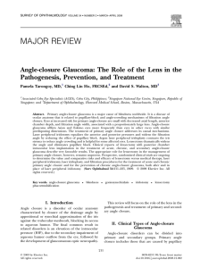 Angle-closure Glaucoma: The Role of the Lens in the