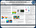 Figure 1 - Cardiac Mechanics Research Group