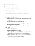 Cardiac Conducting System AND Cardiac cycle