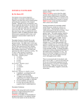 EXTERNAL PACEMAKER By Pat Hock, RN