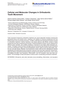 Cellular and Molecular Changes in Orthodontic Tooth