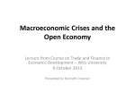 Macroeconomic Crises and the Open Economy