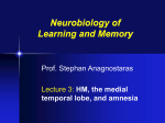 NeuroAnatomic and Genetic Approaches to Memory Formation