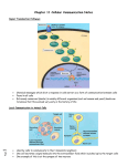 Cellular Communication Notes