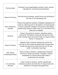 Endocrine: Hormone - Phillips Scientific Methods