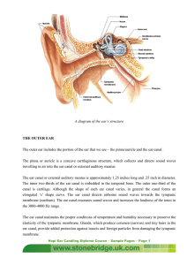 A diagram of the ear`s structure THE OUTER EAR The outer ear