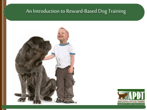 Fear Period of Socialization - National Train Your Dog Month