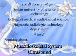 Ultrasound - Sudan University of Science and technology