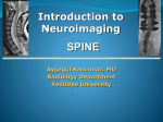 INTRODUCTION TO NEURORADIOLOGY