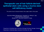 Therapeutic Use of Hair Follicle Epithelial Stem Cells for Ocular