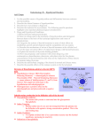 Endocrinology 2b – Hypothyroid Disorders