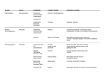 Hormone Chart