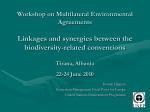 Workshop on Multilateral Environmental Agreements Linkages and