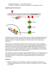 S2.Cell Signaling-Signaling and gene expresssion