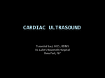 Left Ventricular Function - St. Luke`s Roosevelt Ultrasound Division