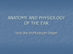 anatomy and physiology of the ear