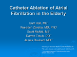 Catheter Ablation of Atrial Fibrillation in the Elderly