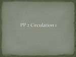 PP 2 Circulation 1- highlighted
