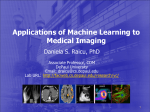 Medical Imaging Research Experiences