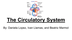 The Circulatory System