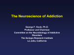 Neurobiology of Drug Addiction - National Center for State Courts
