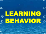learning behavior