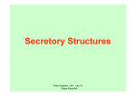Secretory Structures
