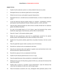 I. General Characteristics of the Endocrine System