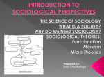 Overview of major theoretical perspectives - Soc