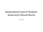 Sociocultural Level of Analysis: Social and Cultural Norms