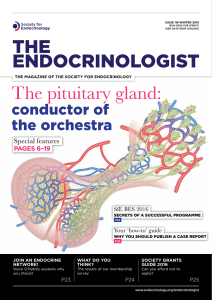 The pituitary gland: - Society for Endocrinology