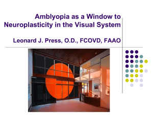 Amblyopia as a Window to Neural Plasticity in the Visual System 2010