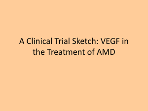 VEGF and Wet Age-related Macular Degeneration