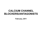 Calcium channel blockers/antagonists